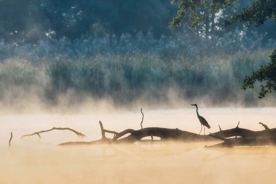 shooter76 - Na straży jeziora. PE. Zdjęcie 318220