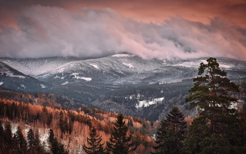 shooter76 - . . Zdjęcie 282203