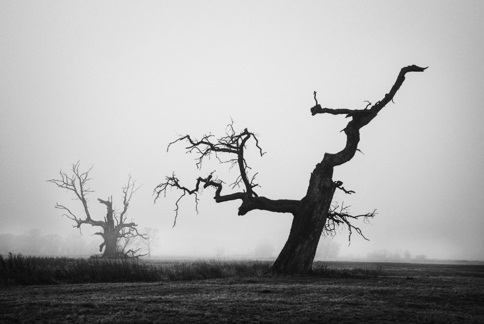 toooomelo - Starzy przyjaciele.. . Zdjęcie 183202