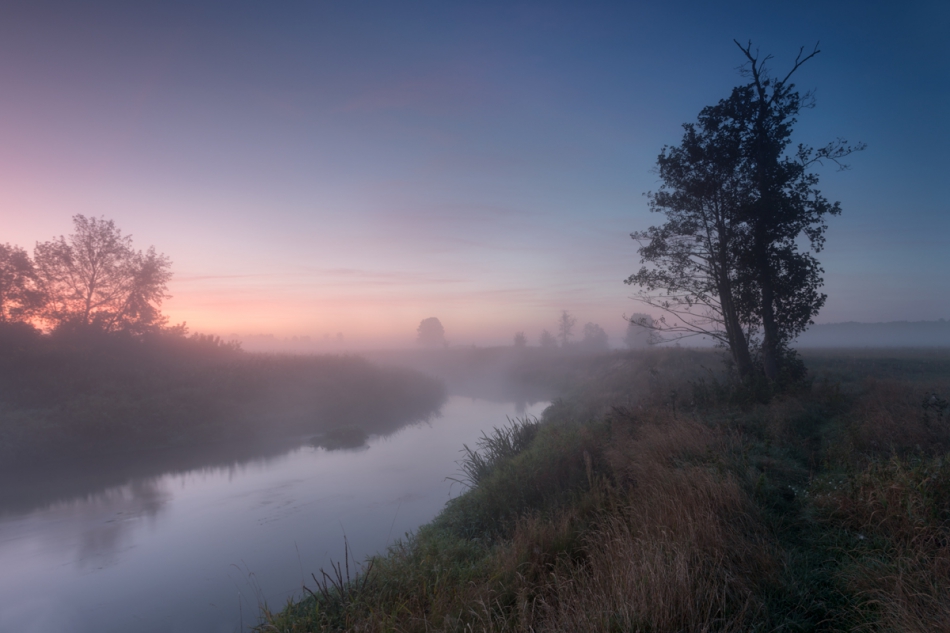 Brak tytułu. . Zdjęcie 250449