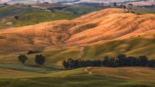 Pienza