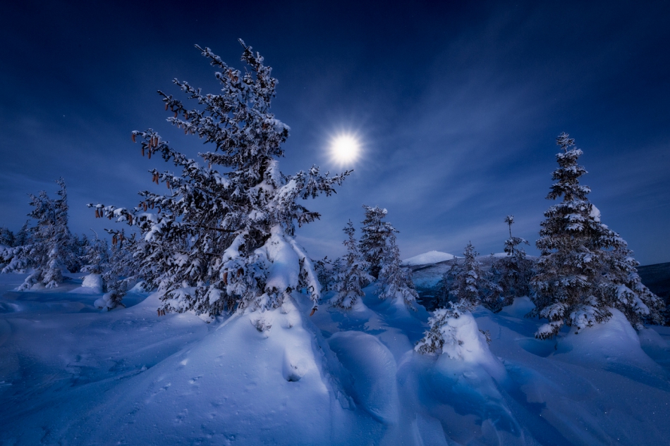 bonnieandclyde - Winter Night...II. . Zdjęcie 296240