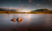 Scottish Moors