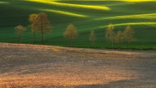 Wiosna