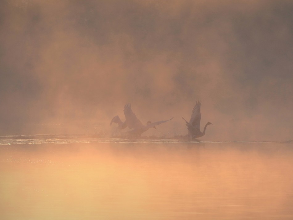 Zabawa w wodzie. . Zdjęcie 338113