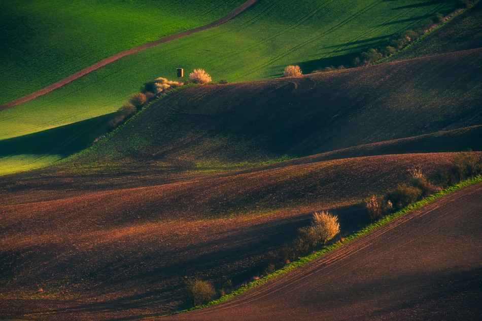 New Season. . Zdjęcie 339321