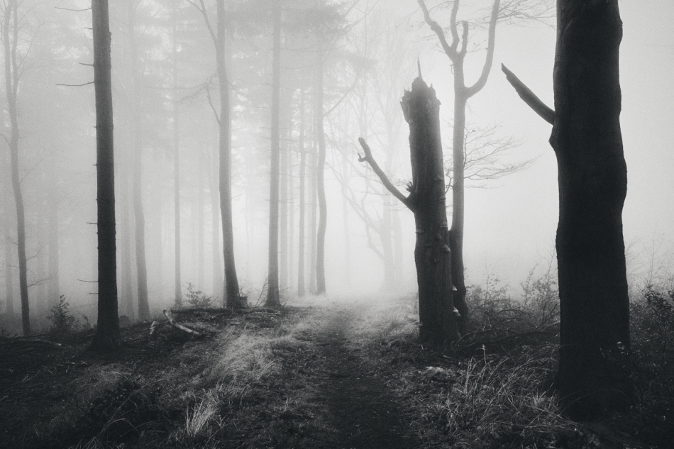 shooter76 - . . Zdjęcie 296118