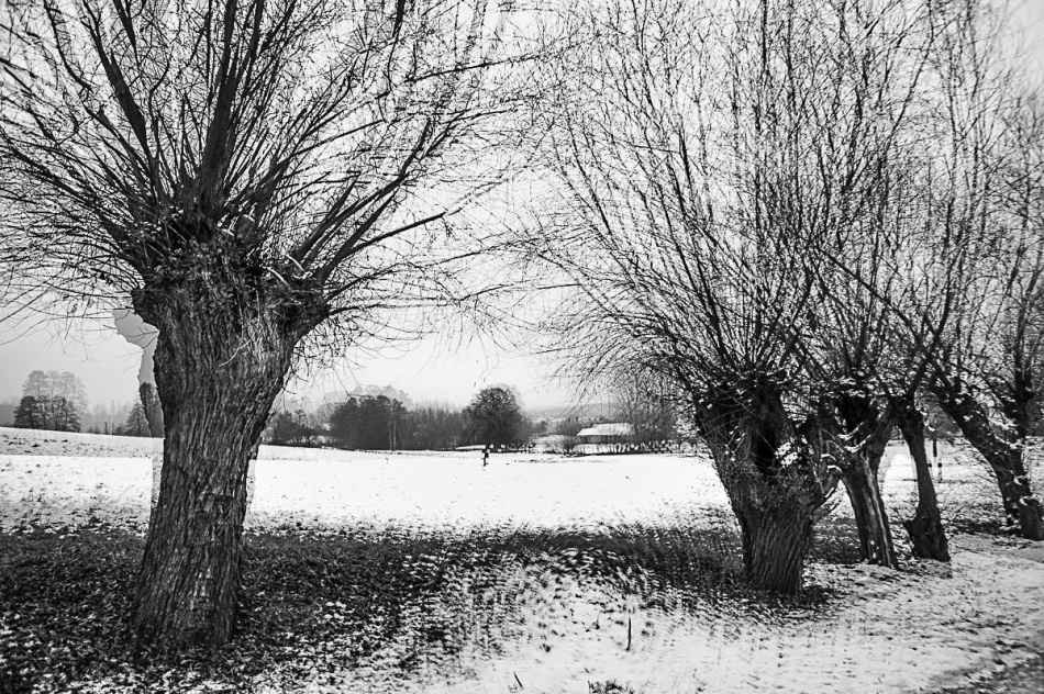 -. -. Zdjęcie 337430