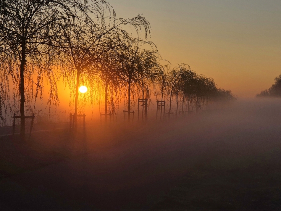 W stron? s?o?ca. . Zdjęcie 337026