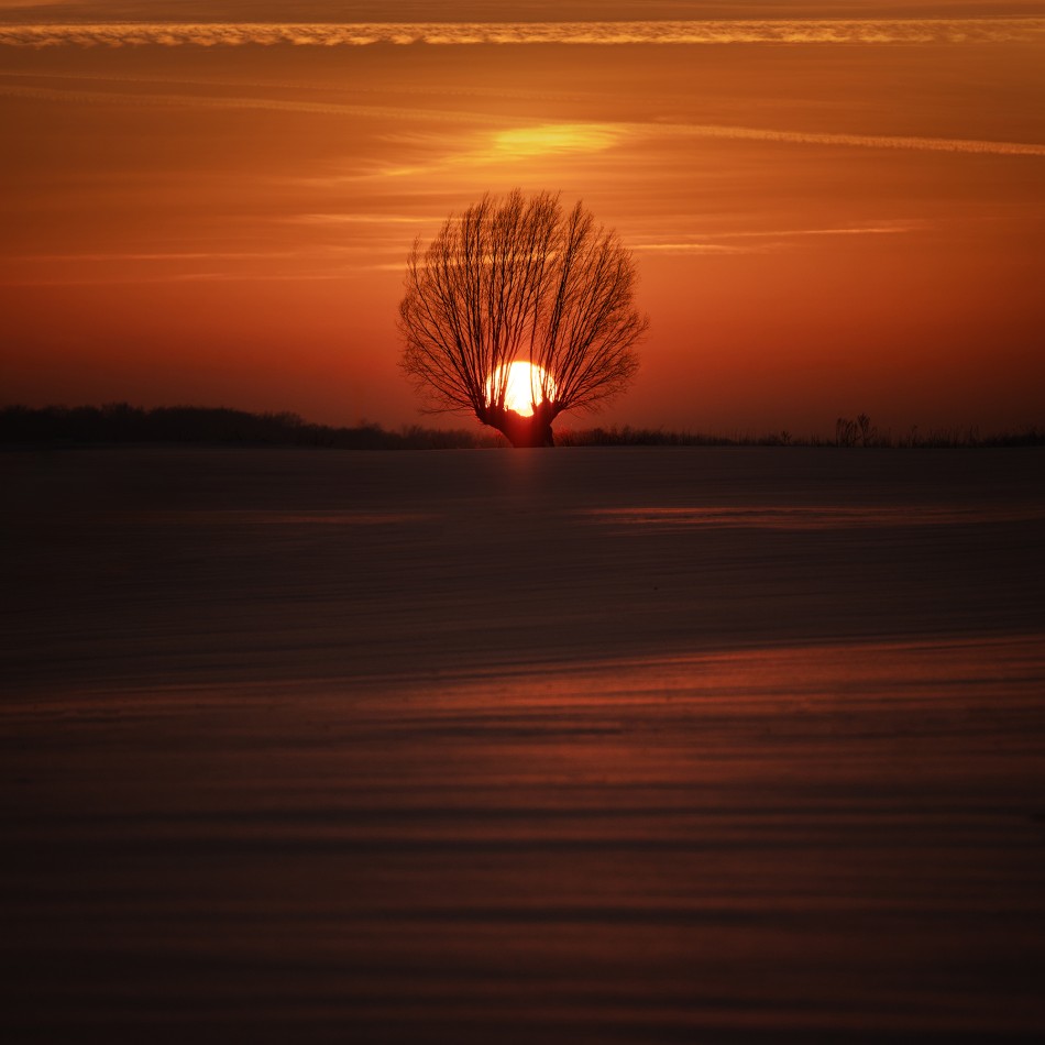 Serce dnia w objęciach nocy. . Zdjęcie 338477