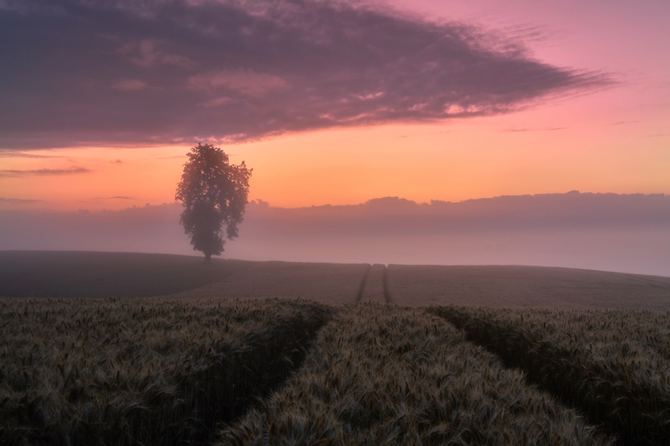 roman_hudzik - . . Zdjęcie 255154