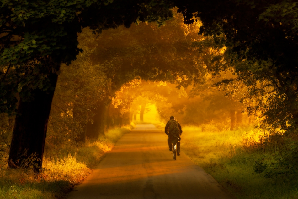 bonnieandclyde - Long,long way home.. . Zdjęcie 71480