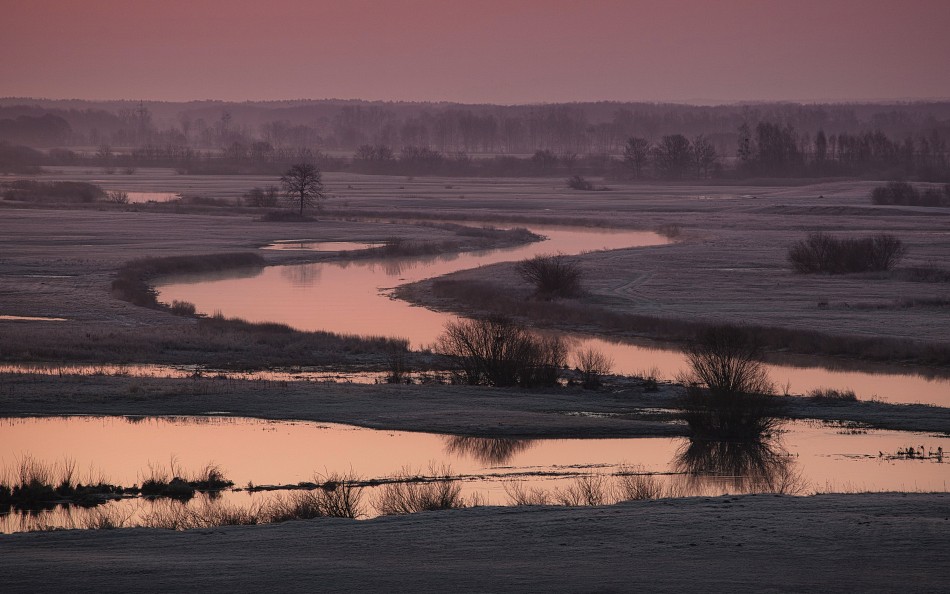 Narew i Biebrza. . Zdjęcie 339558