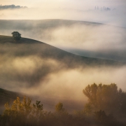 foggy dreams