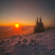 First Light