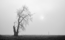 Łapacz snów