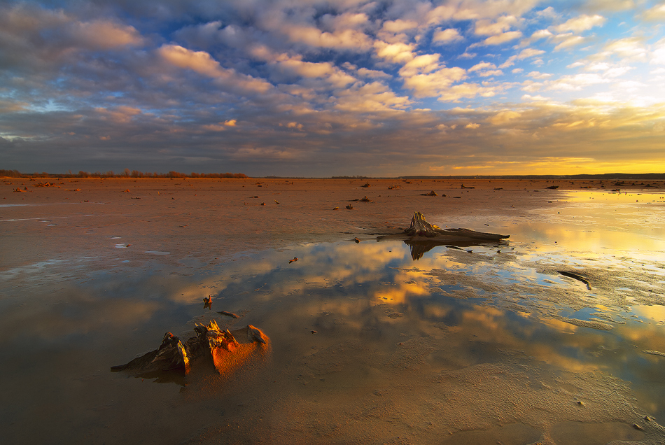 siwypz - Turawa. . Zdjęcie 108991