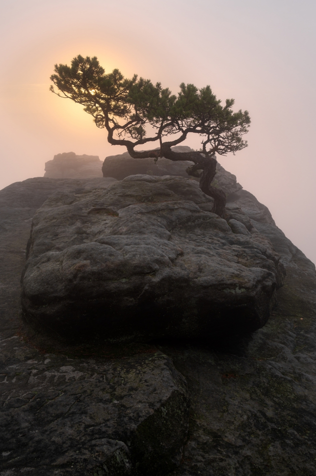 grzegorz - . . Zdjęcie 309261