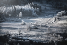 The End of Autumn