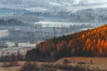 A Very Silent Morning III