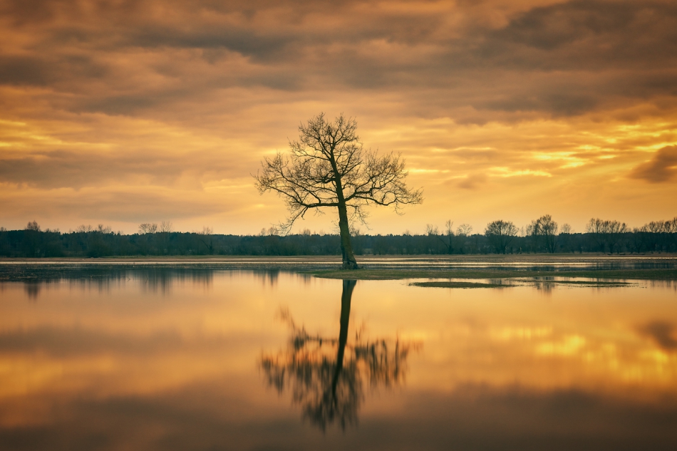 shooter76 - . . Zdjęcie 300770