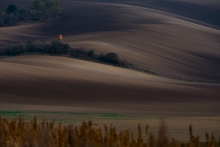 Morawskie klimaty