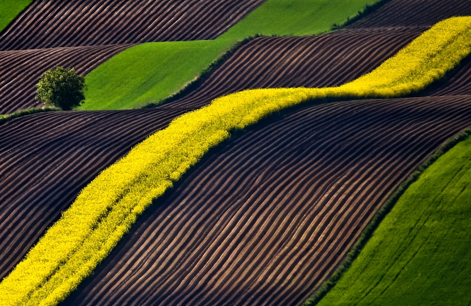 mariusz_je - . . Zdjęcie 324243