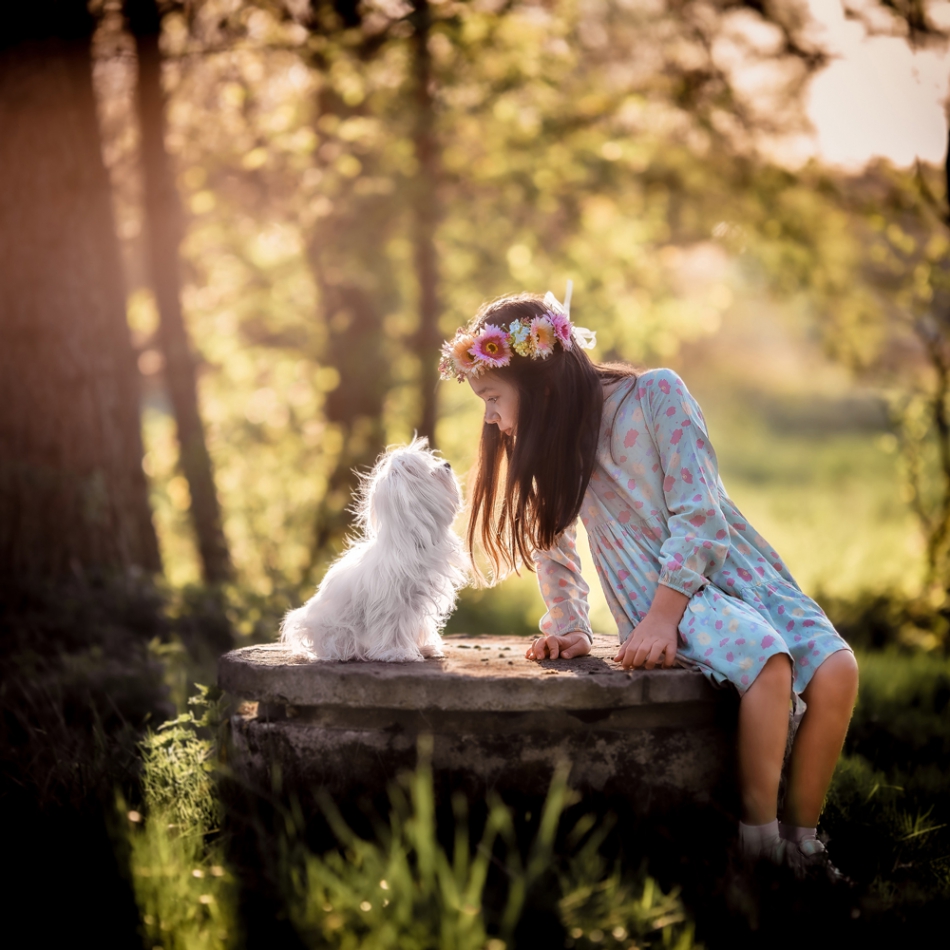 gaco - .... . Zdjęcie 314343