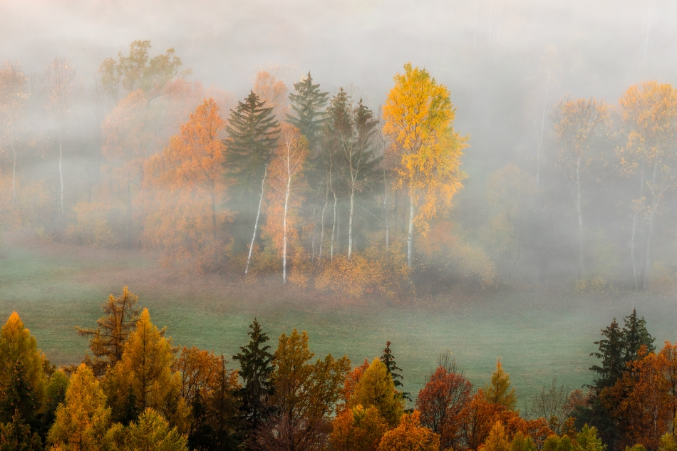 Autumn Deluxe.... . Zdjęcie 336645