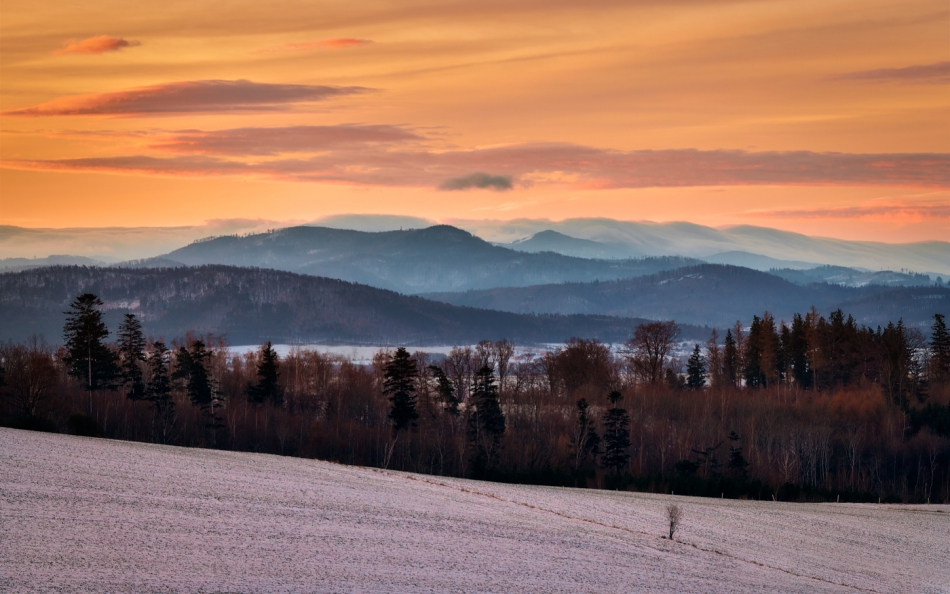 shooter76 - . . Zdjęcie 297644