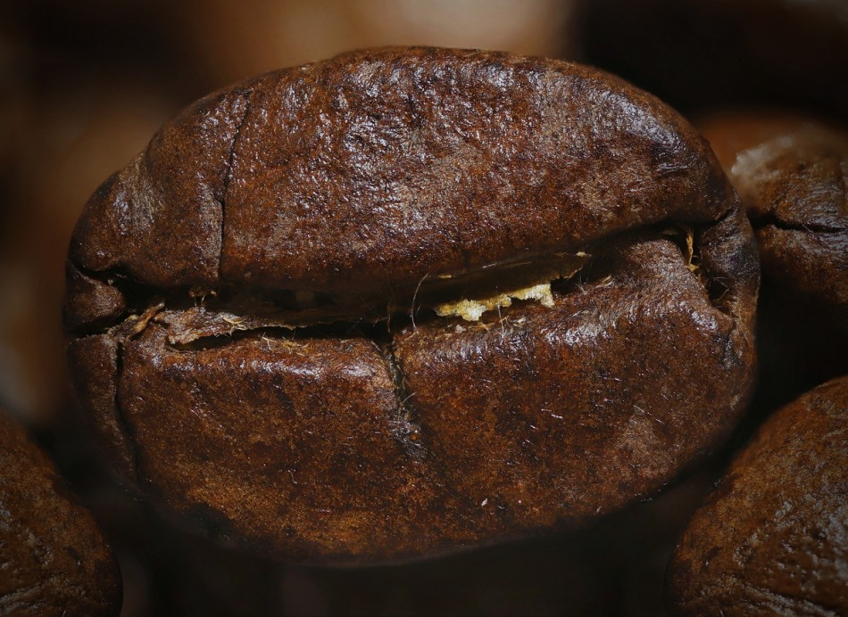 kawa. . Zdjęcie 339051