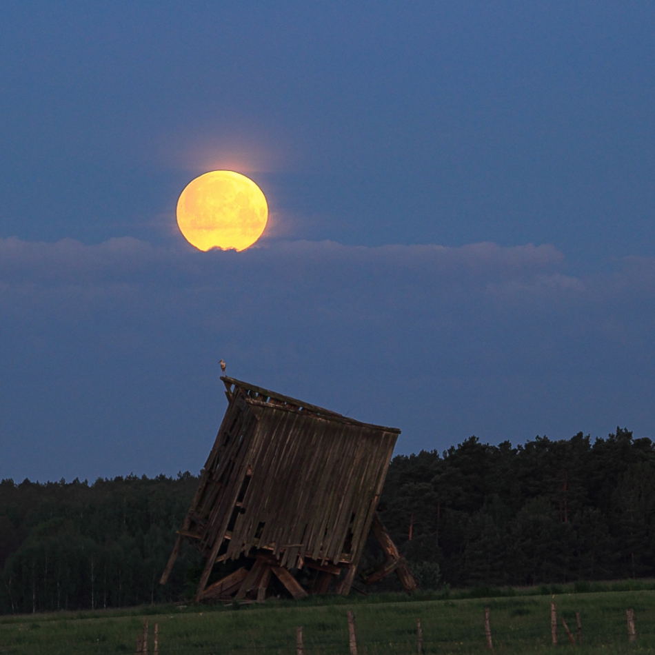 camelot - Upadek. Zachód pełni Księżyca nad upadającym wiatrakiem w Fermie. Zdjęcie 302121