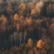 Spectacular Autumn Time...