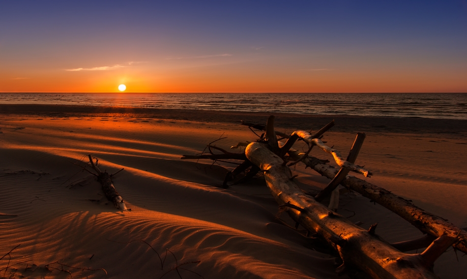 ader - *. P.E.. Zdjęcie 68015