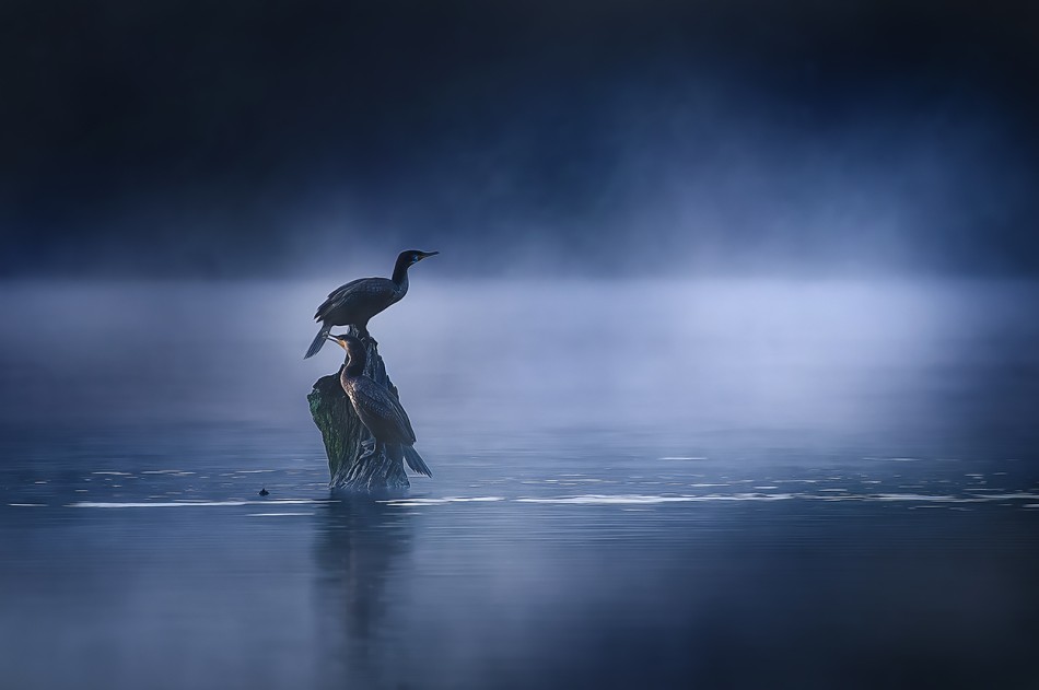  nad wodą. . Zdjęcie 339196