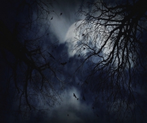 My Blue Sky...