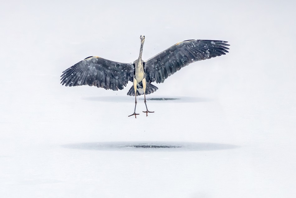 I.2026. . Zdjęcie 338713