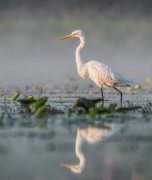FOTOFERIA.PL