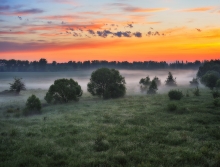 Spring morning