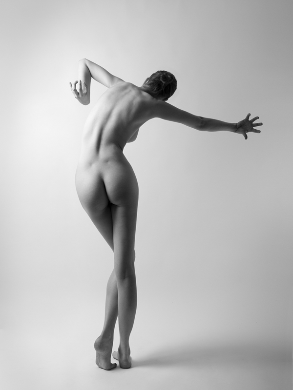 alosza - back. . Zdjęcie 57359