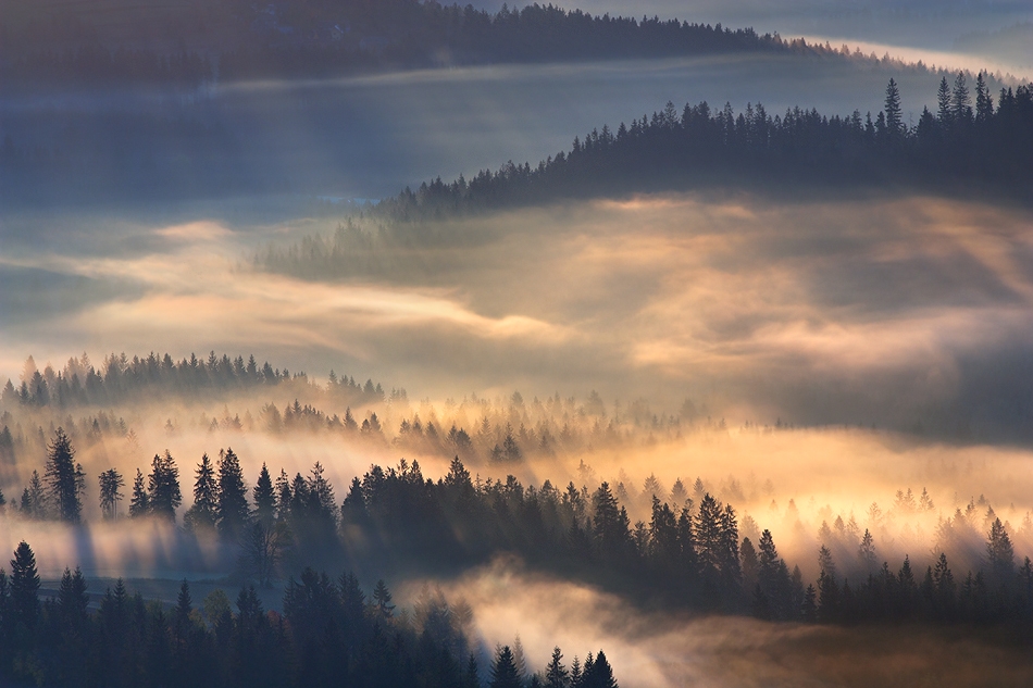 kerim - Poranne sny. . Zdjęcie 72891