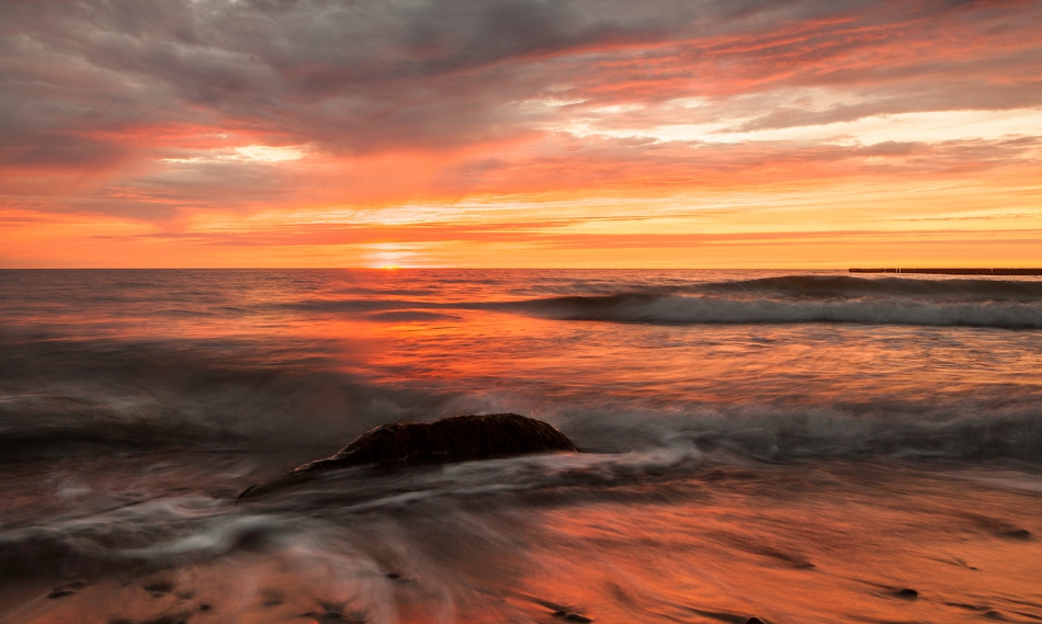 roman53 - . . Zdjęcie 316964