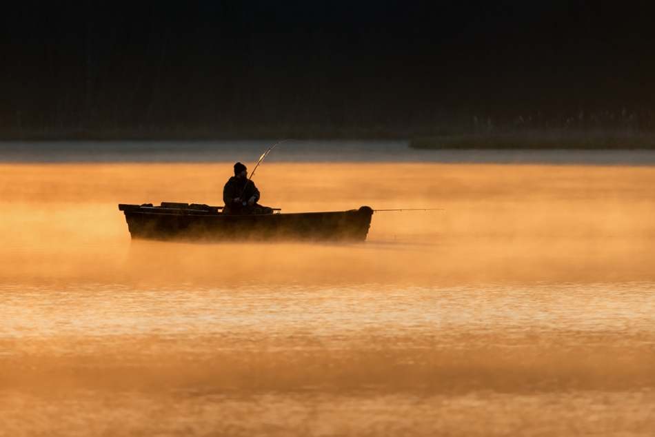 fotoel - . . Zdjęcie 167537