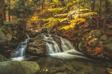 Autumn, Warm and Bright...