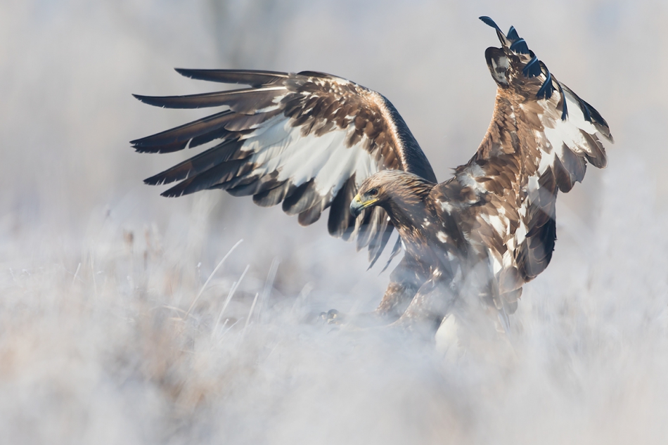 mateuszmm - . . Zdjęcie 187084