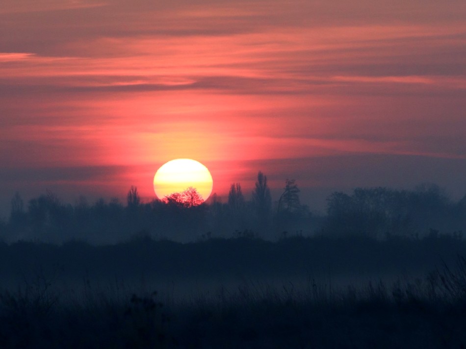 Jak dobrze wcześnie wstać. . Zdjęcie 338956