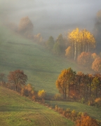 For the Love of Autumn...