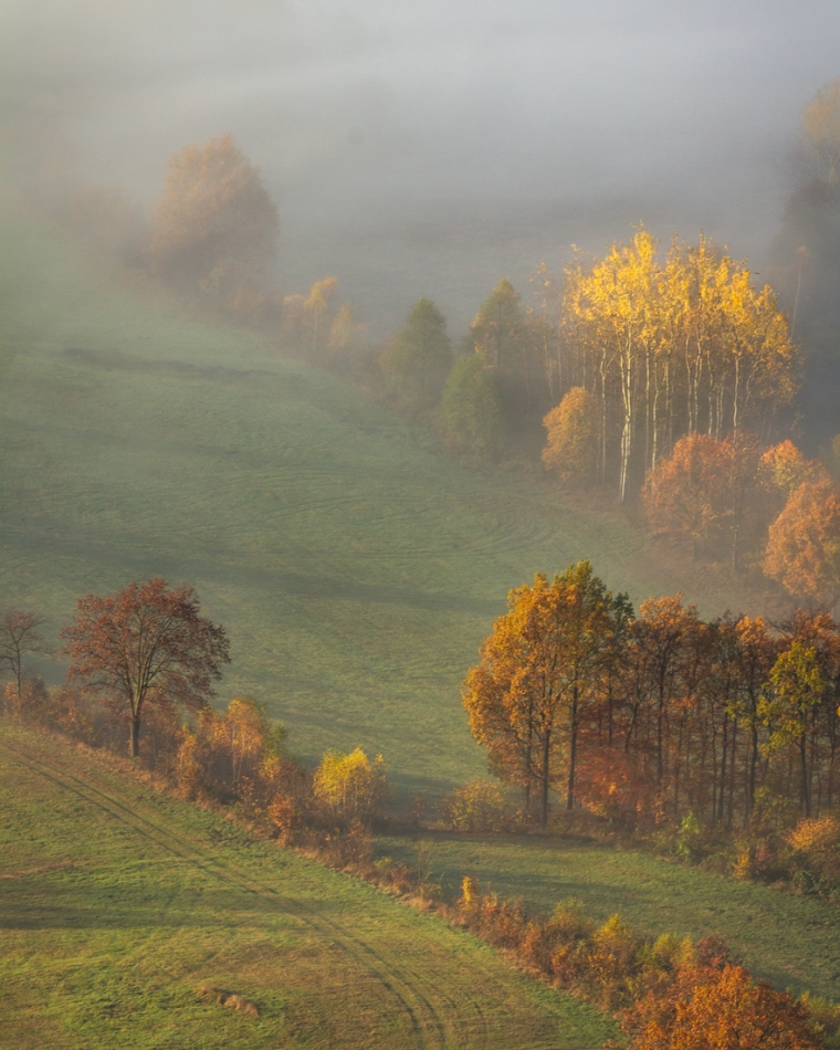 bonnieandclyde - For the Love of Autumn.... . Zdjęcie 327011