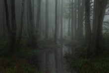 Rzeka Gać. Spalski Park...
