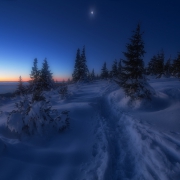 Walking the Winter Path.